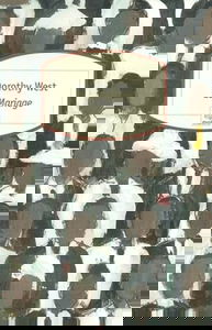 Le Frangipanier de Féline