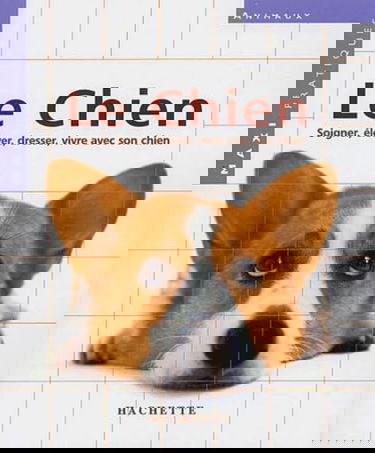 Le chien : soigner, élever, dresser, vivre avec son chien