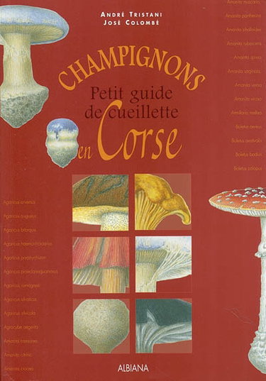 Champignons : petit guide de cueillette de Corse
