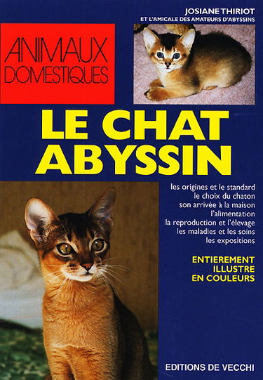 Le chat abyssin