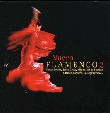 Couverture de Nuevo Flamenco Vol.2 par Artistes Divers