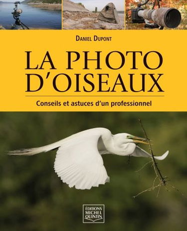 La photo d'oiseaux : conseils et astuces d'un professionnel