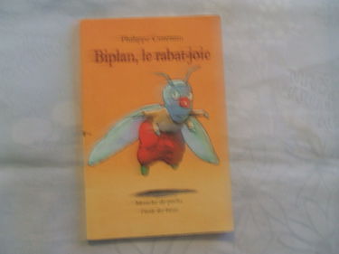 Biplan le rabat-joie