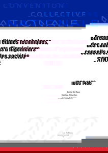 Convention Collective Nationale Bureaux d'études techniques, cabinets d'ingénieurs-conseils et sociétés de conseils IDCC 1486: SYNTEC