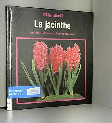 La Jacinthe