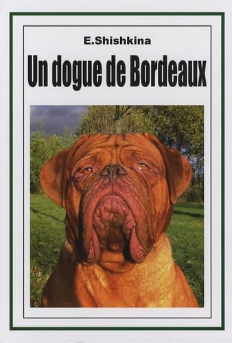 Un dogue de Bordeaux