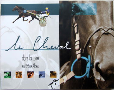 Le Cheval Dans La Loire En Rhone-Alpes