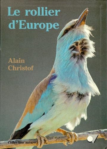 Le rollier d'Europe