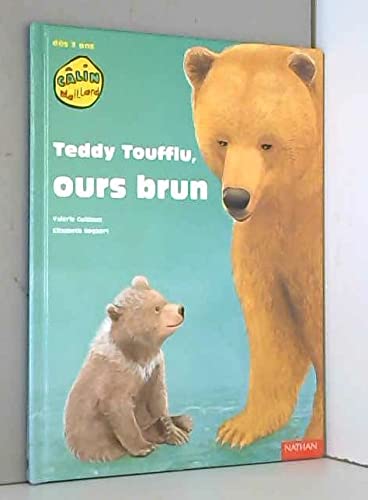 Teddy Toufflu, ours brun