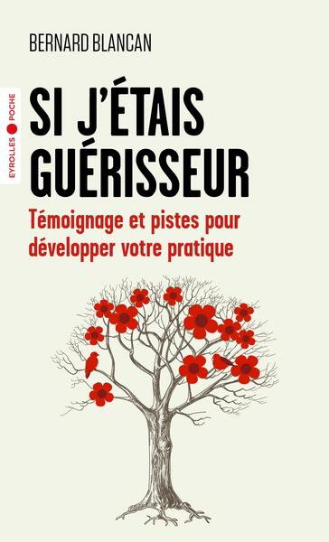 Couverture de Si j'étais guérisseur : témoignages et pistes pour développer votre pratique