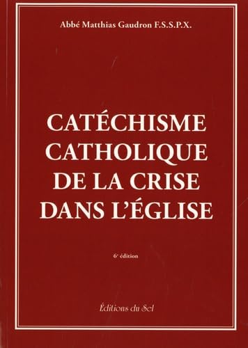Catéchisme catholique de la crise dans l'Eglise