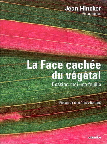 La face cachée du végétal : dessine-moi une feuille