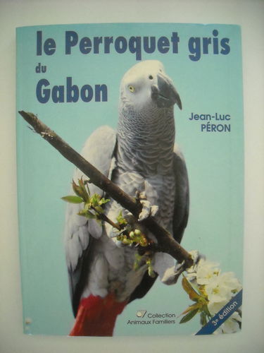 Le Perroquet gris du Gabon