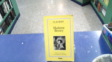 Madame Bovary: Moeurs de province
