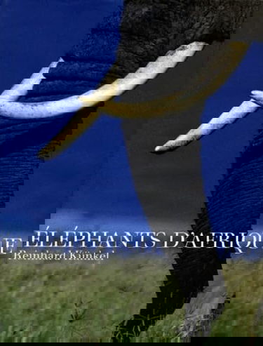 Eléphants d'Afrique