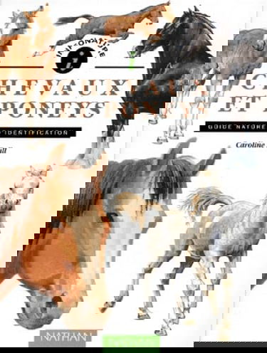 Chevaux et poneys : guide nature d'identification