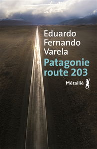 Patagonie route 203