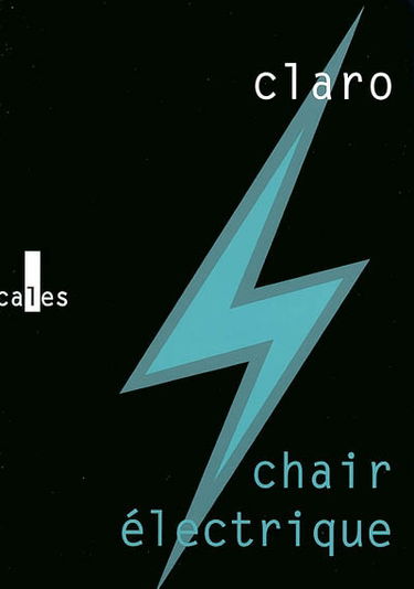 Chair électrique