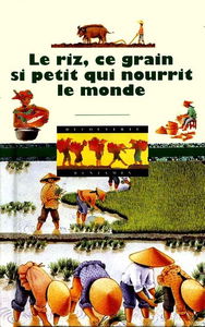 Le riz, ce grain si petit qui nourrit le monde