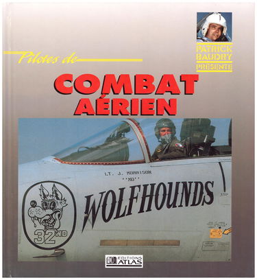 Pilotes de combat aerien
