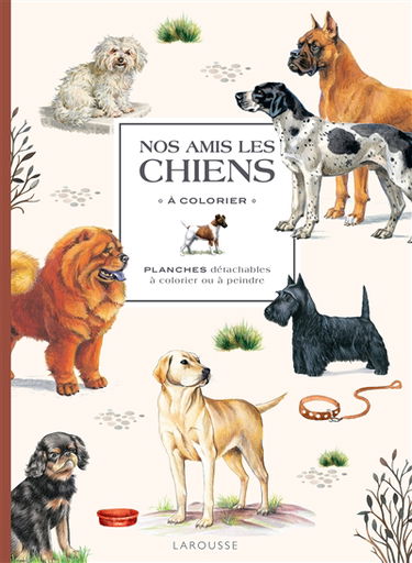Nos amis les chiens à colorier : planches détachables à colorier ou à peindre