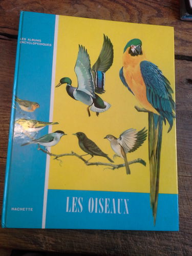 Victor Calvini. Les Oiseaux