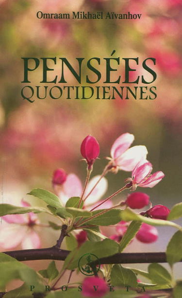 Pensées quotidiennes : 2013