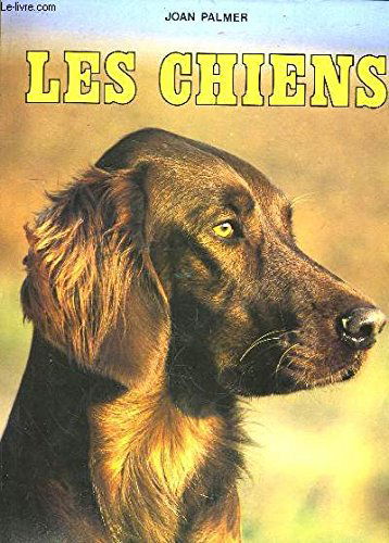 Le chien 020895