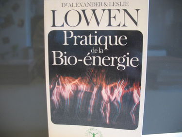 Pratique de la bio-énergie