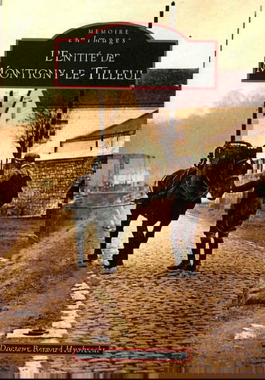 L' Entite de Montigny-le-Tilleul