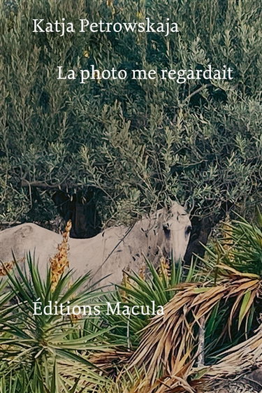 Couverture de La photo me regardait : chroniques (2015-2021)