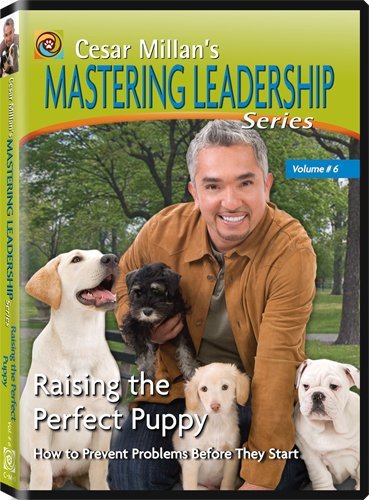 Couverture de Cesar Millan's Mastering Leadership Series Volume 6: Raising the Perfect Puppy