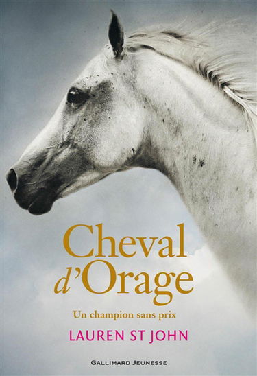 Cheval d'orage. Vol. 1. Un champion sans prix