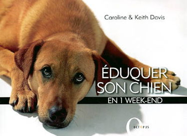 Eduquer son chien en 1 week-end