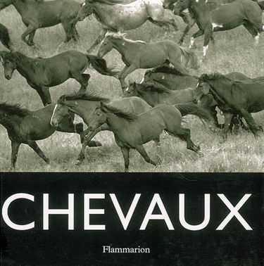 Chevaux