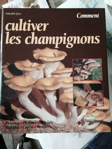 Comment cultiver les champignons