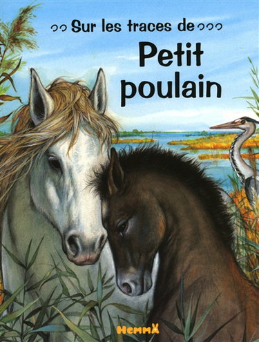 Couverture de Sur les traces de Petit poulain