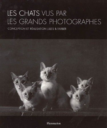 Les chats vus par les grands photographes