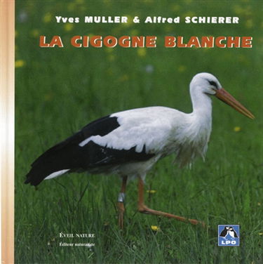 La cigogne blanche