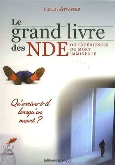 Le grand livre des NDE ou Expériences de mort imminente