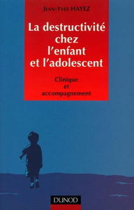 La destructivité chez l'enfant et l'adolescent : clinique et accompagnement