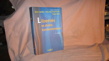 Libertés et droits fondamentaux