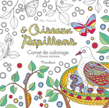 Oiseaux & papillons : carnet de coloriage & flânerie antistress