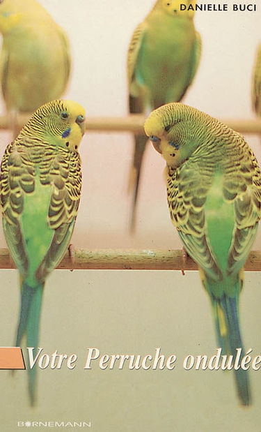 Votre perruche ondulée