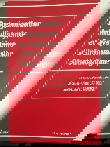 Organisation intelligente et système d'information stratégique