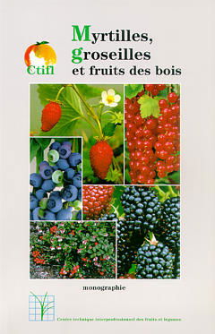 Myrtilles, groseilles et fruits des bois