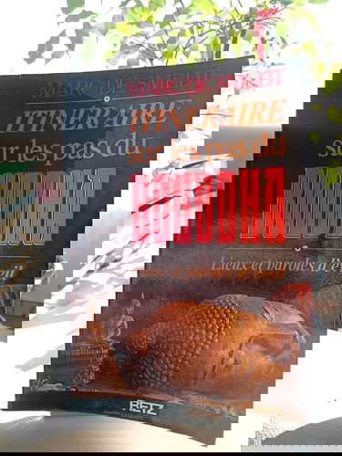 Faut-il bruler piaget ?