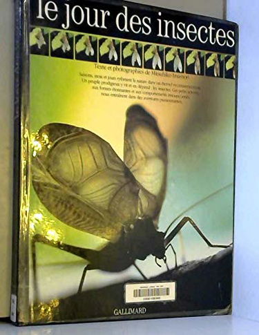 Le Jour des insectes