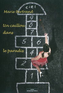 Un caillou dans le paradis
