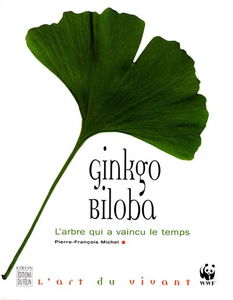Ginkgo biloba : l'arbre qui a vaincu le temps